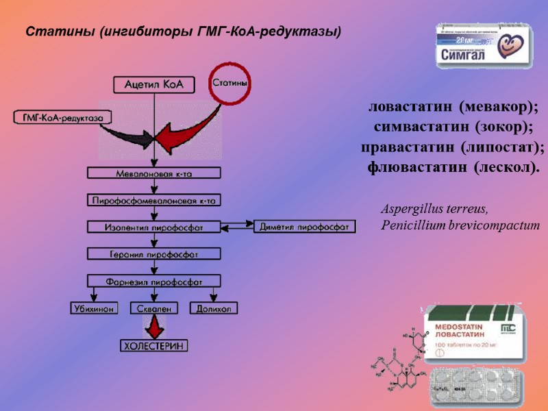 Статины (ингибиторы ГМГ-КоА-редуктазы)   ловастатин (мевакор);  симвастатин (зокор);  правастатин (липостат); 